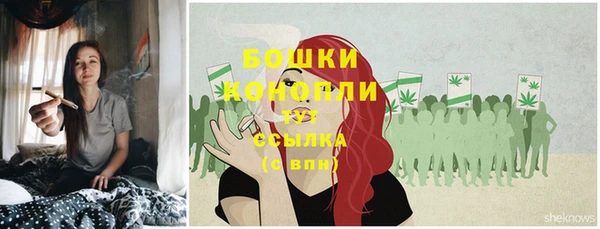 тгк Волосово