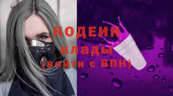 сатива Вяземский