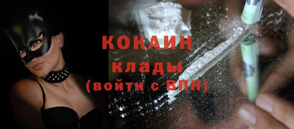 дживик Володарск