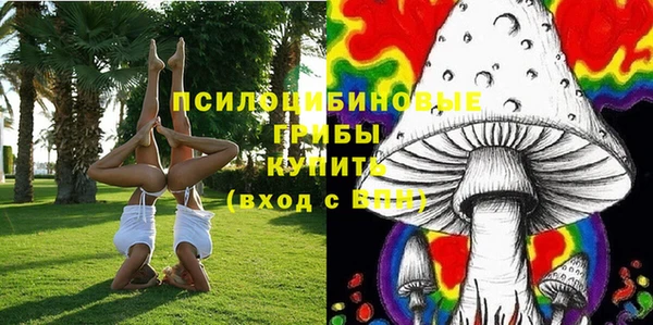 дживик Володарск