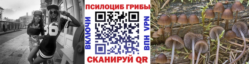 Галлюциногенные грибы мухоморы Купить где Дальнереченск